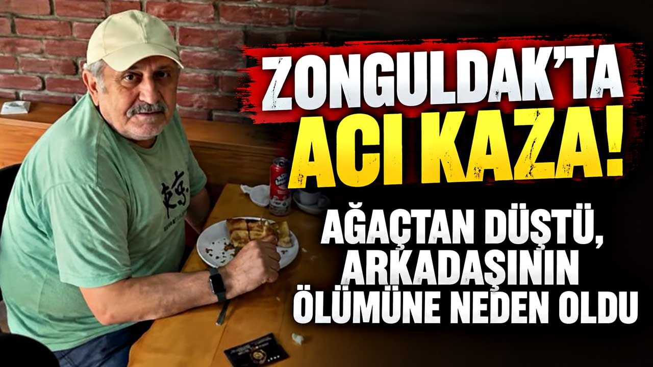 Ağaçtan düştü, merdiveni tutan kişi hayatını kaybetti