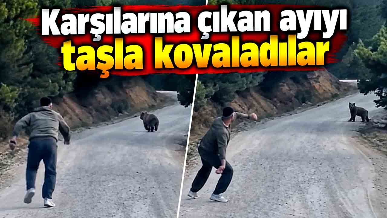 Bolu'da karşılarına çıkan ayıyı taşla kovaladılar