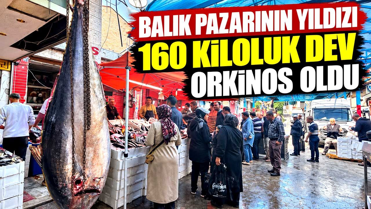 2 metrelik dev orkinos tezgâha çıktı, saatler içinde tükendi