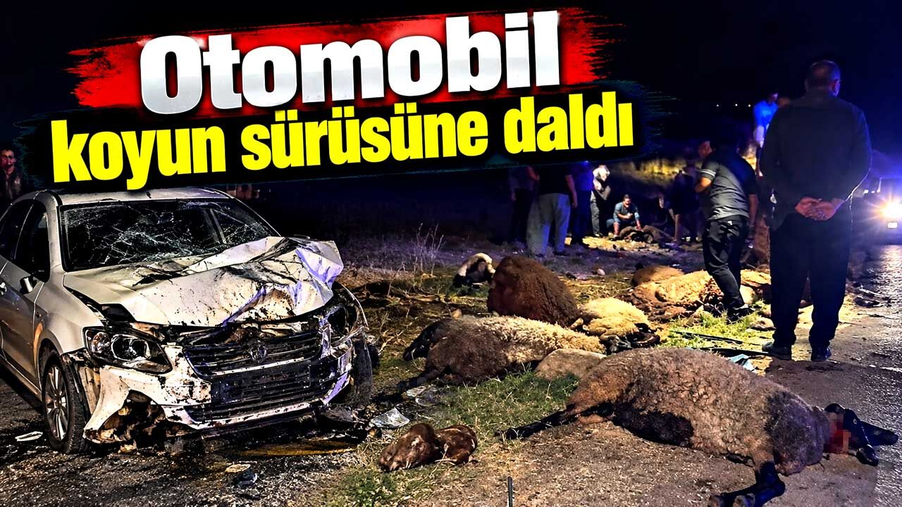 Gaziantep’te gece faciası: Otomobil sürünün arasına daldı