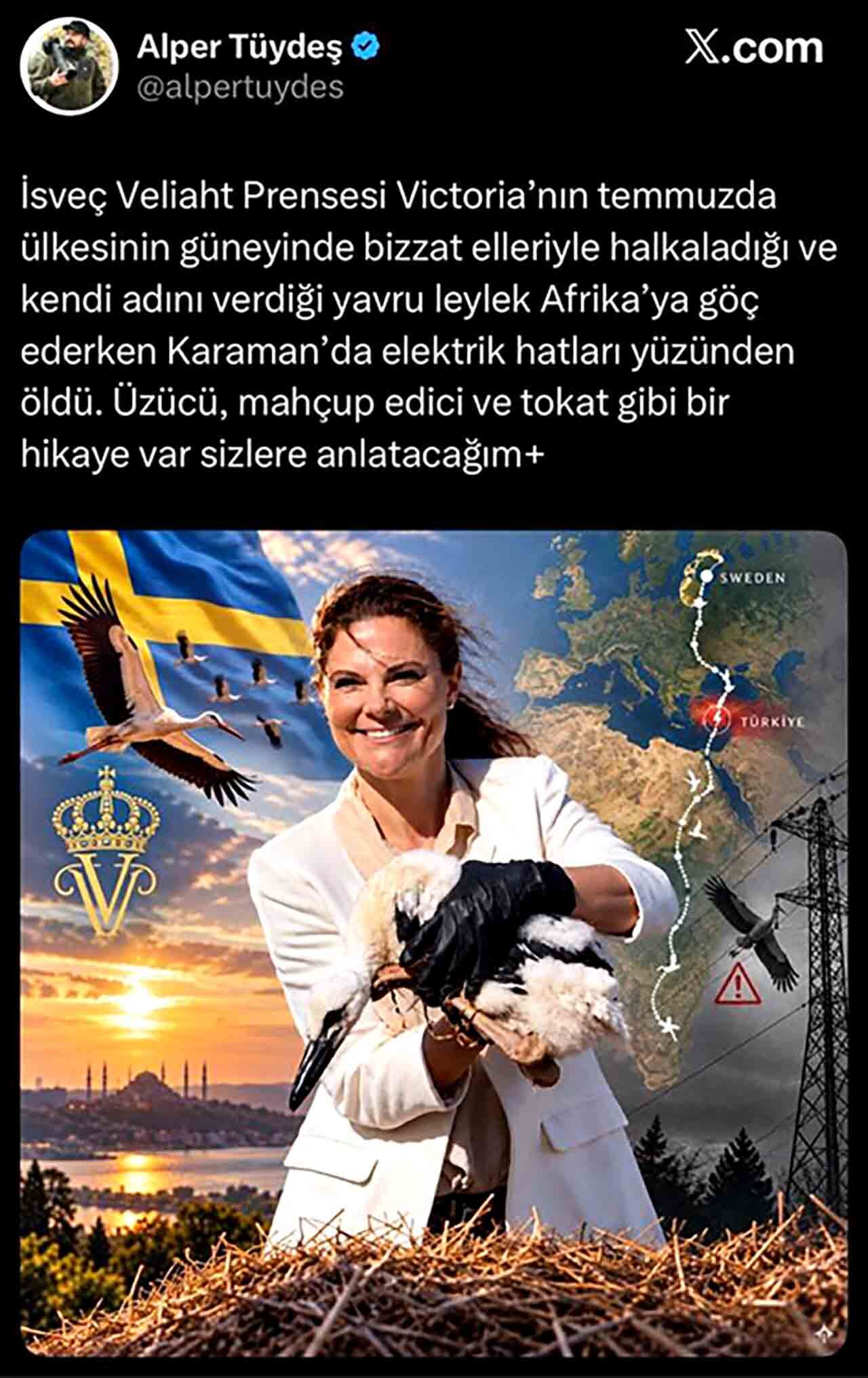 Prensi̇n Leyleği̇ Karamanda Öldü (2)