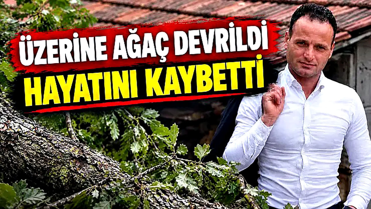 Üzerine ağaç devrilen işçi hayatını kaybetti