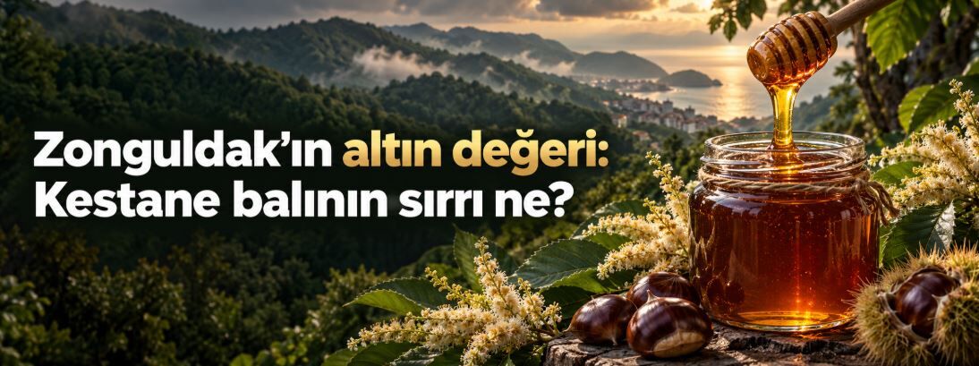 Zonguldak’ın altın değeri: Kestane balı