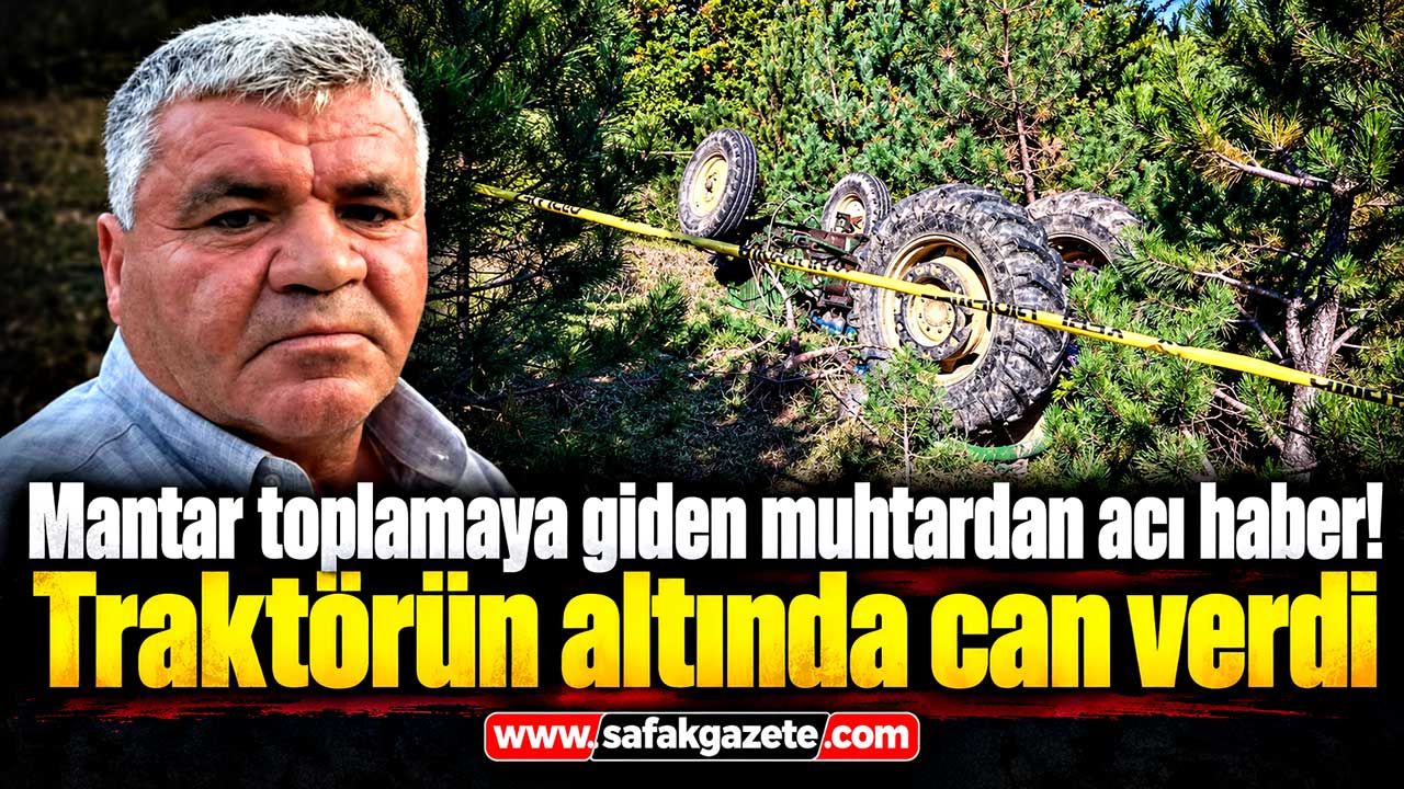 Mantar toplamaya giden muhtardan acı haber!