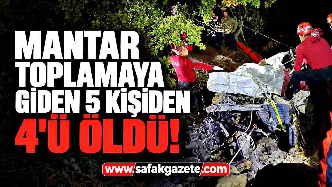 Mantar toplamaya gittiler, geri dönemediler! 4 kişi öldü