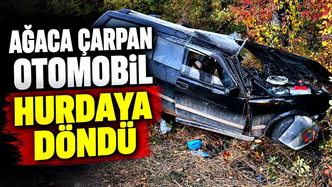 Ağaca çarpan otomobil parçalandı: Sürücü hastaneye kaldırıldı