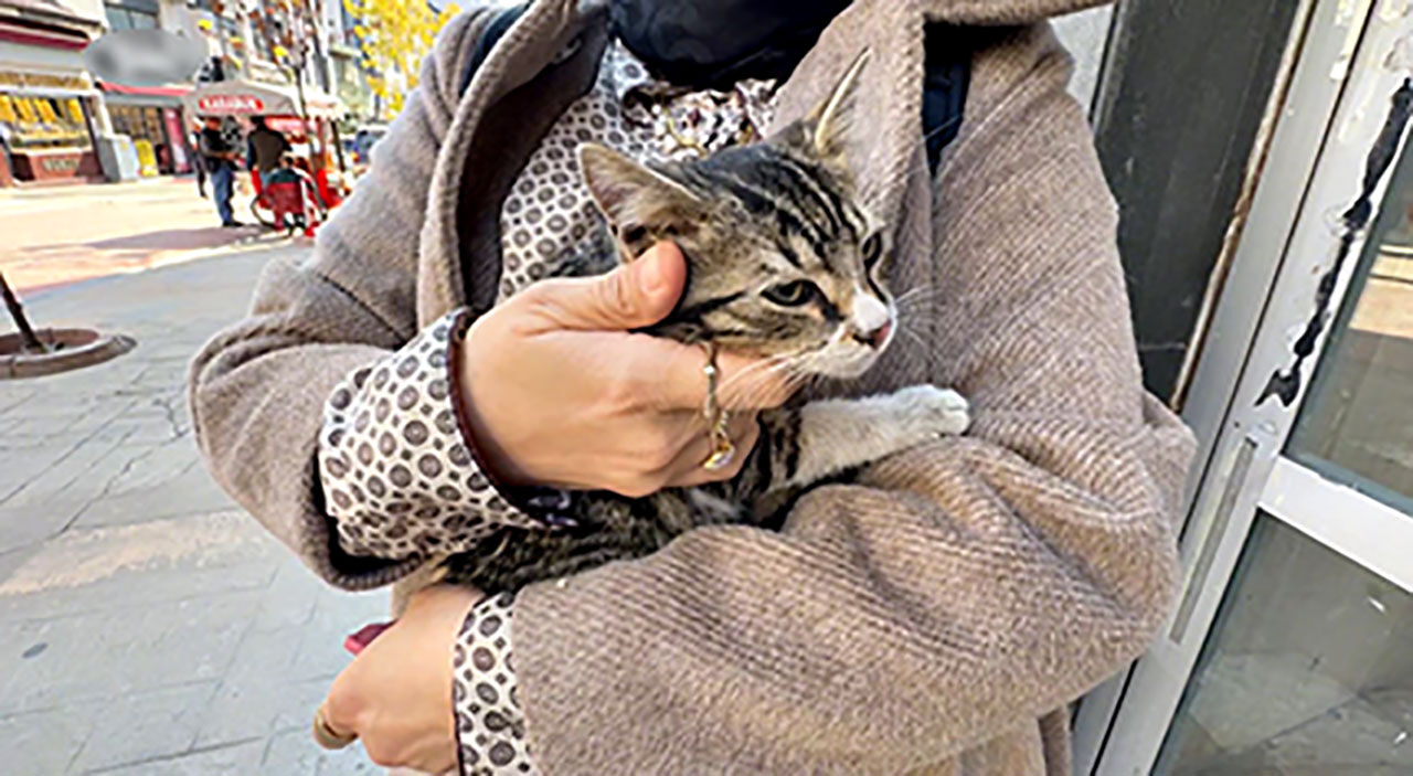 Aracın Altına Giren Yavru Kedi Kurtarıldı (2)