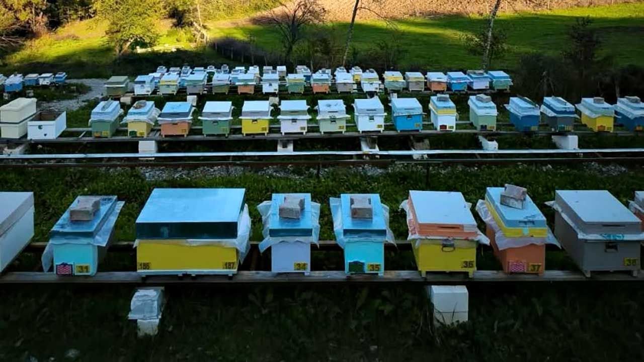 Arılı Kovan Destekleme başvurularında son 5 gün