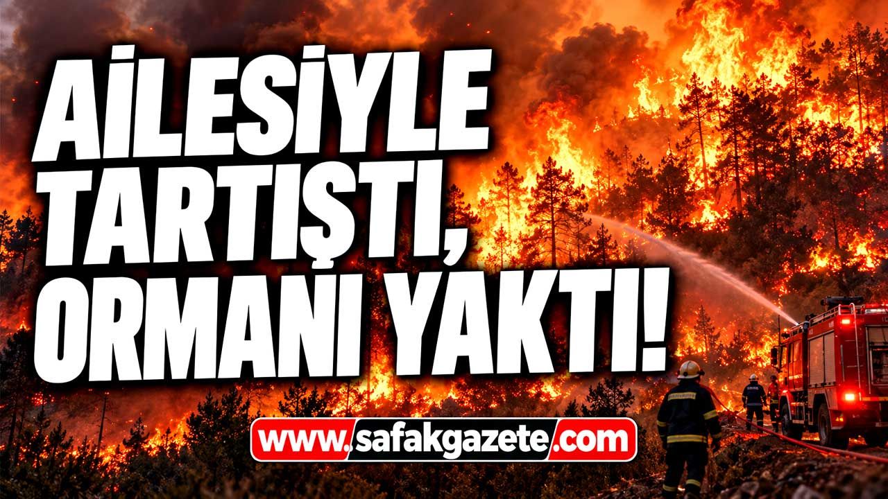 Ailesiyle tartıştı, ormanı yaktı!