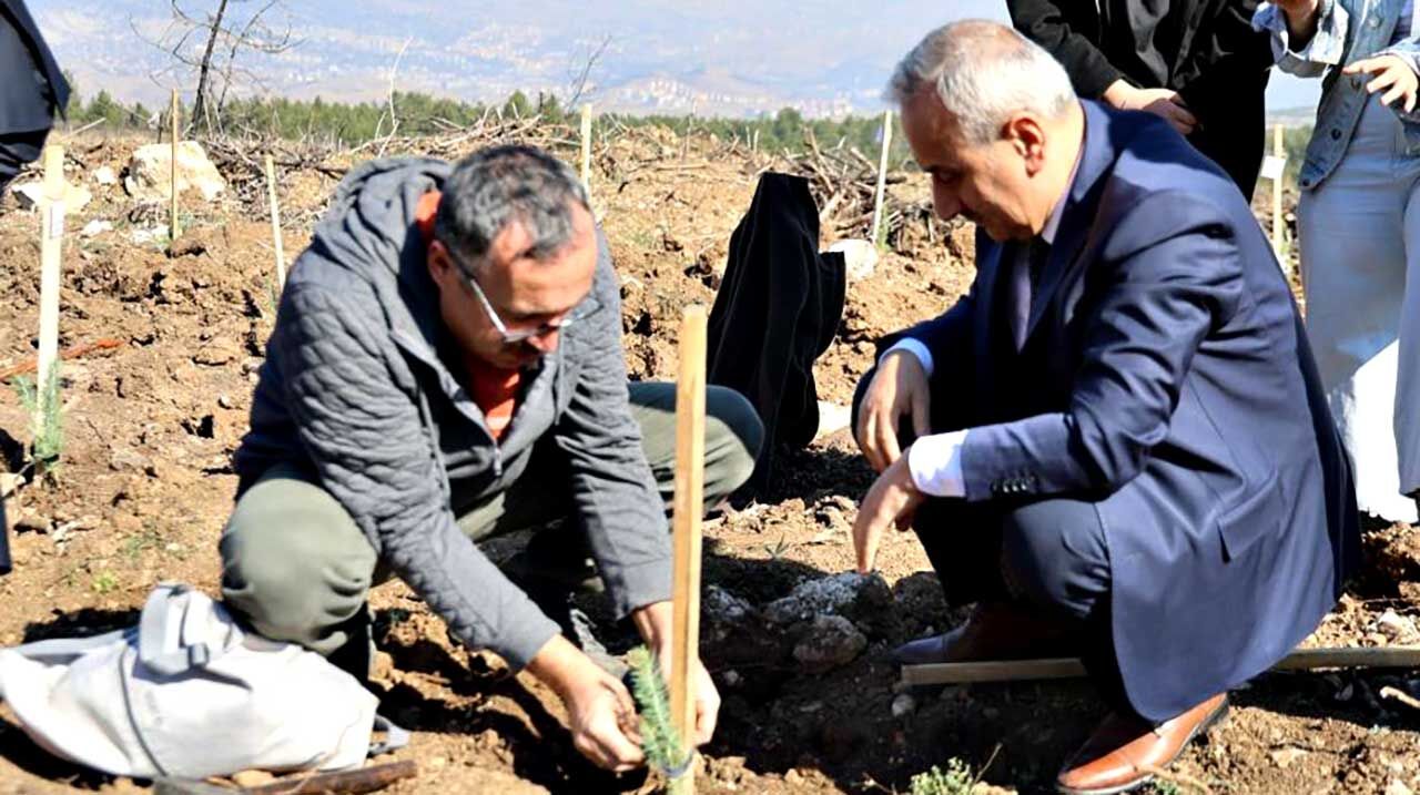 Karabük'te 250 fidan toprakla buluştu