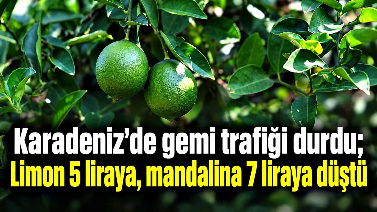 Karadeniz'de gemi trafiği durdu; Limon 5 liraya, mandalina 7 liraya düştü