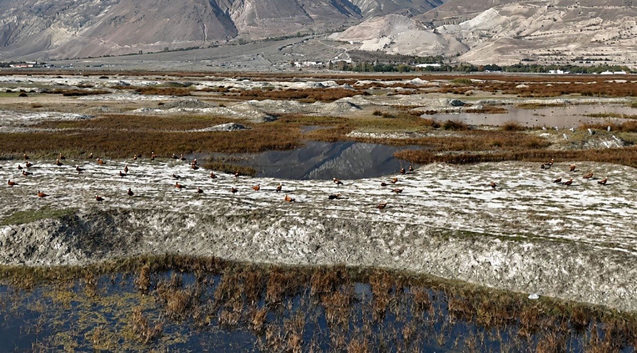 Kuş Cenneti'nde göç vakti! Son görüntüler büyüledi