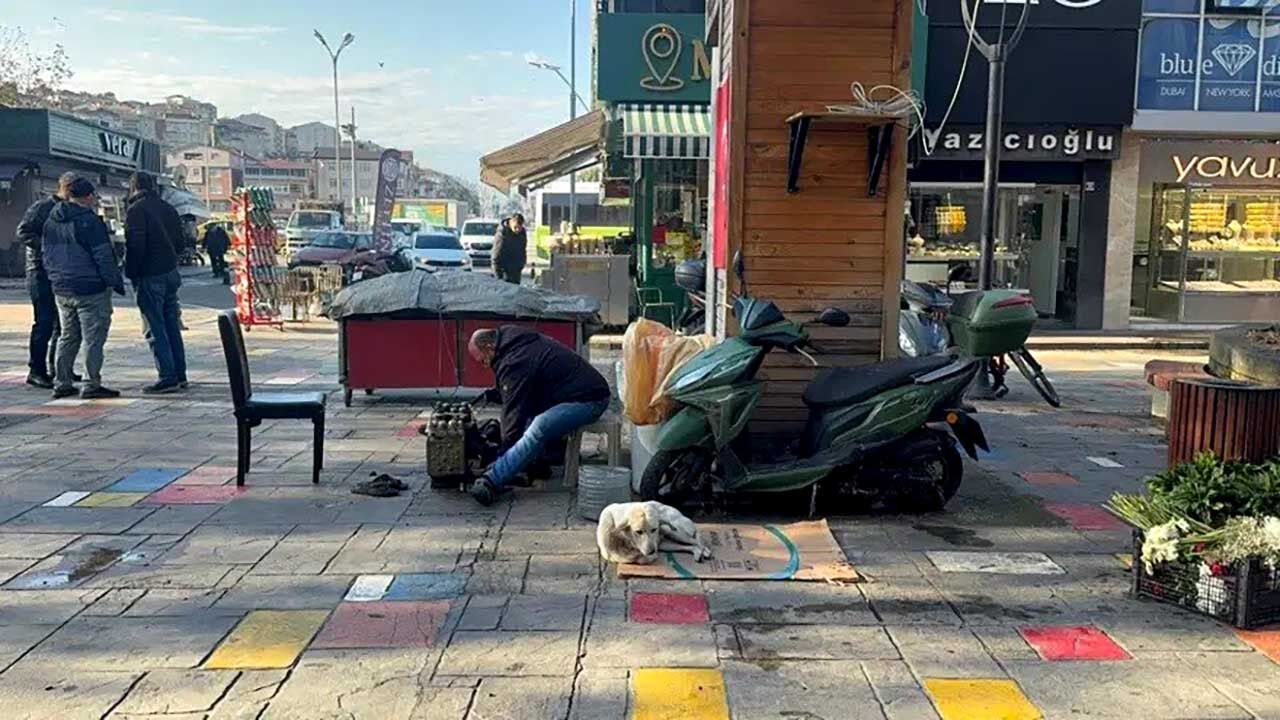 Merhameti̇ Ödül Geti̇rdi̇ (4)