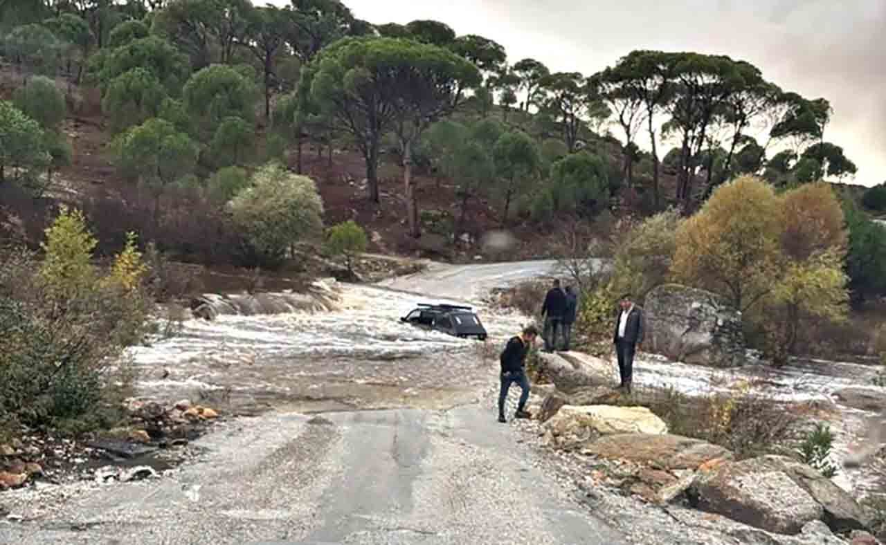 Seli̇n Ortasinda Kaldilar (1)