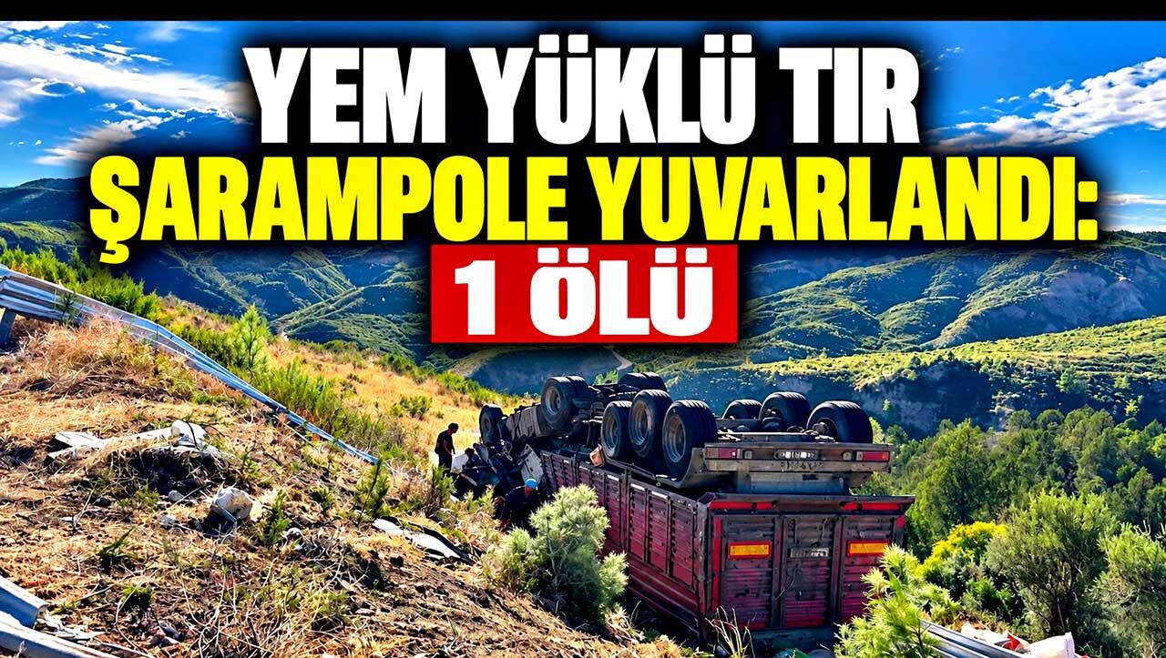 Yem yüklü tır şarampole devrildi: Sürücü hayatını kaybetti