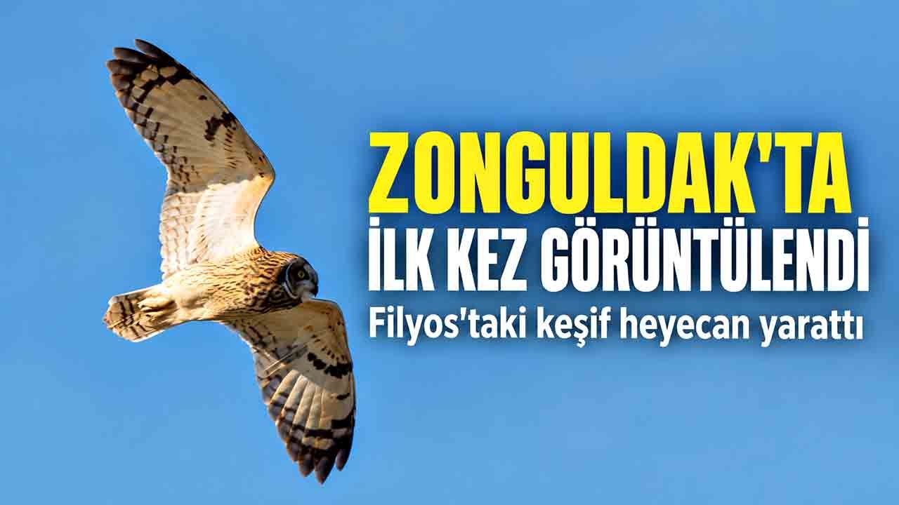 Zonguldak'ta ilk kez görüldü! Filyos'taki keşif heyecan yarattı